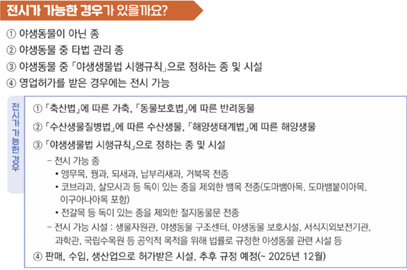 쥬니멀 소개 이미지