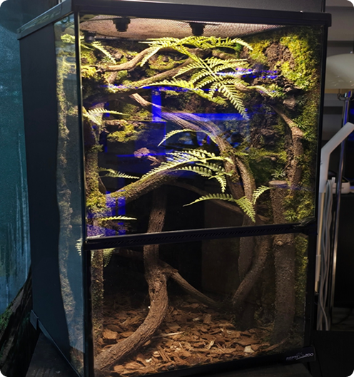 생태키트 이미지 1