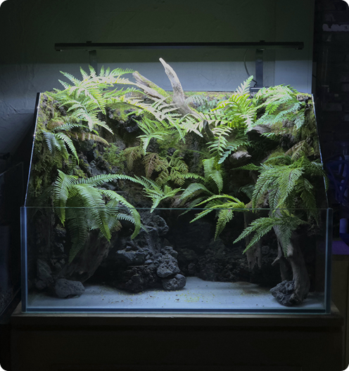 생태키트 이미지 2